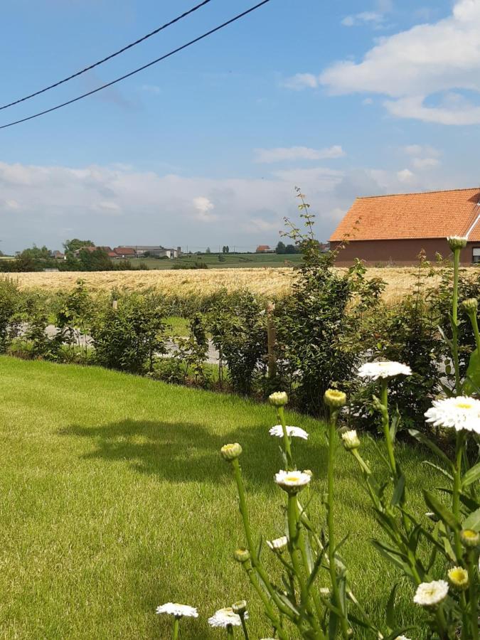 Vakantiehuis Zoetendaal Reningelst Dış mekan fotoğraf