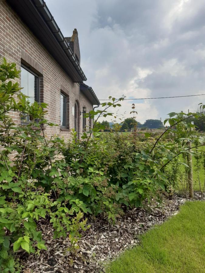 Vakantiehuis Zoetendaal Reningelst Dış mekan fotoğraf